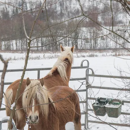 Apartment Welcome In - 66-b 'mountainside' In Niedersfeld-winterberg Mit Balkon, Schoener Aussicht Und Abstellraum *