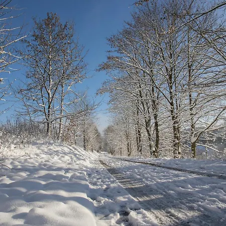 Welcome In - 66-b 'mountainside' In Niedersfeld-winterberg Mit Balkon, Schoener Aussicht Und Abstellraum *